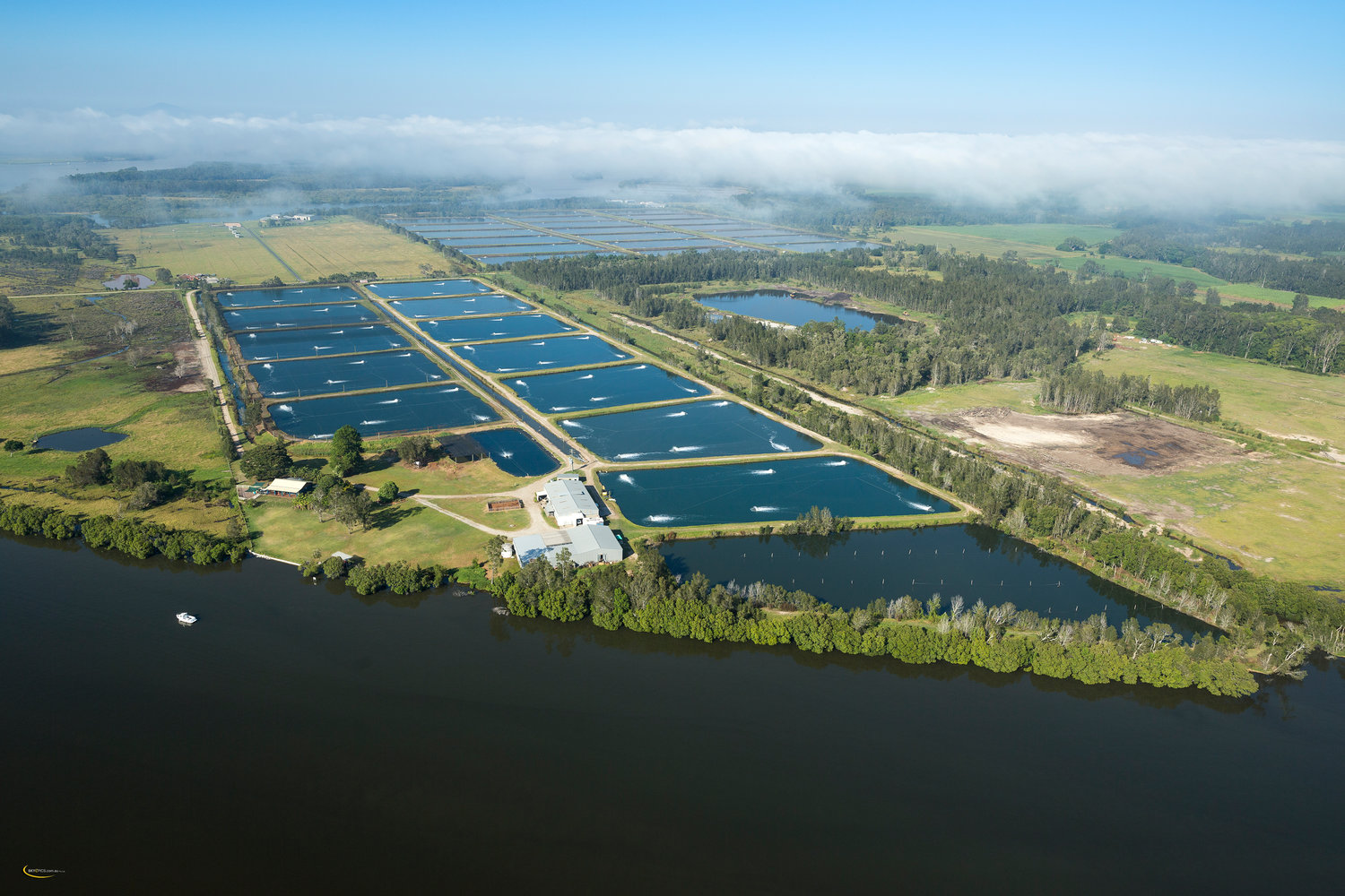 银行家看好的澳洲东海岸水产海鲜养殖项目500万澳元-澳大利亚大洋洲际商务中心