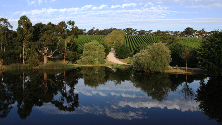 大洋洲际商务中心代理南澳著名葡萄酒
