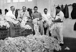 1937年的羊毛出口